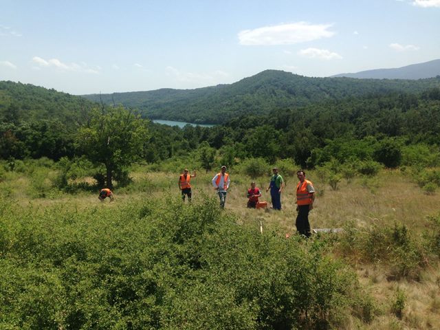 Serbia, AMT